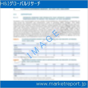 市場と産業調査レポートのイメージ